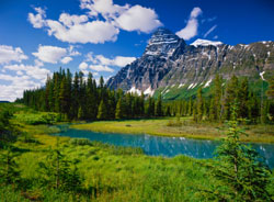 Naturrejse til Banff National Park i Canada